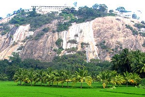 Palni Hills