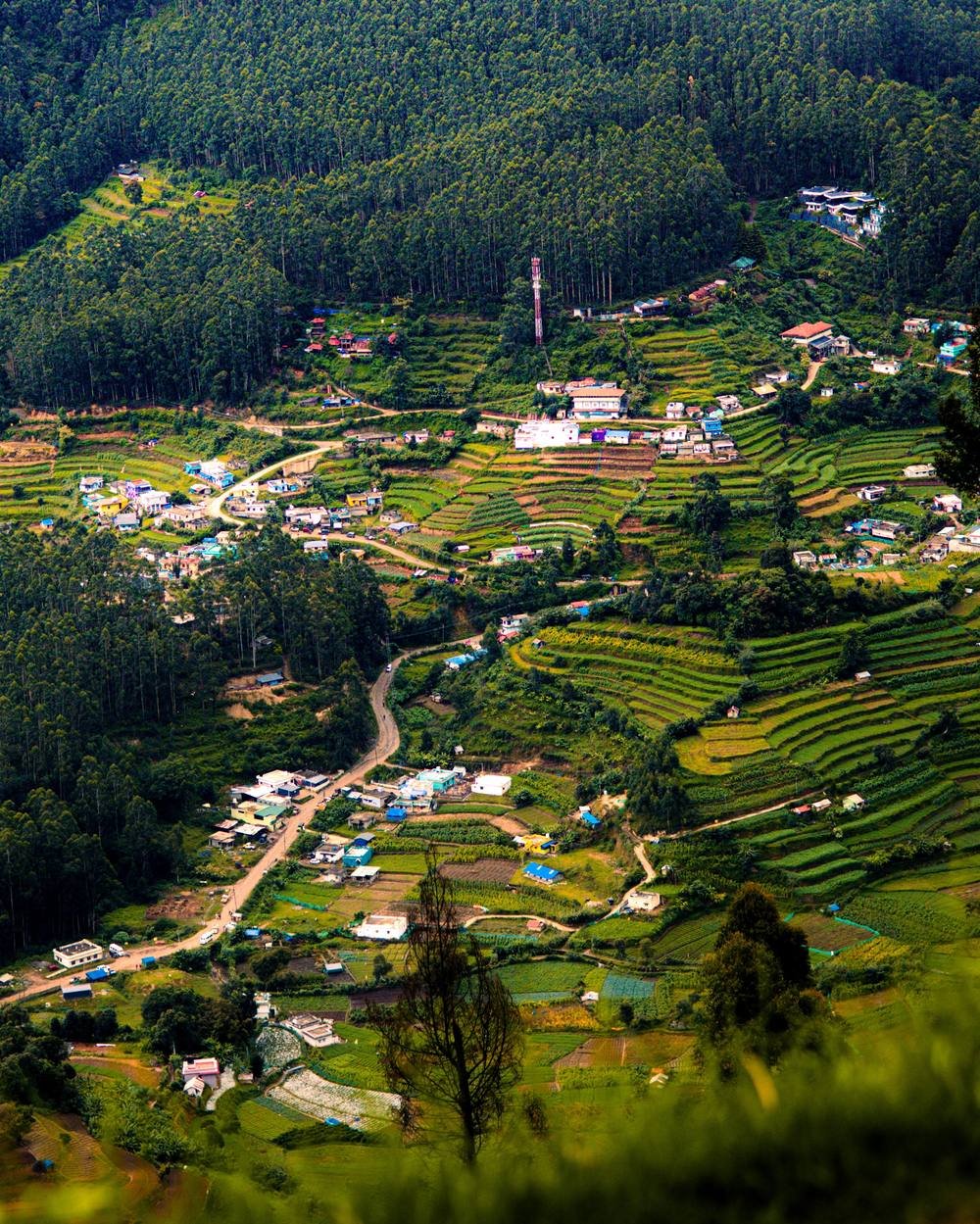 Ooty